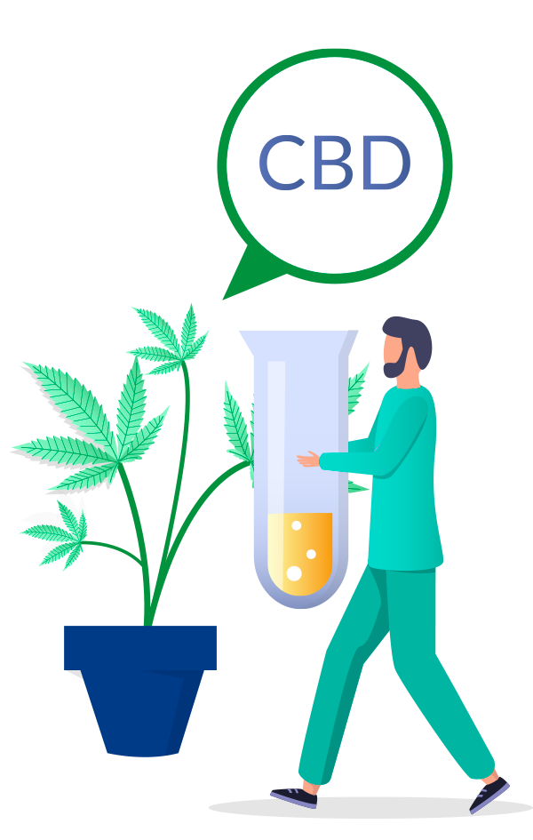 CBD merchant accounts and payment processing